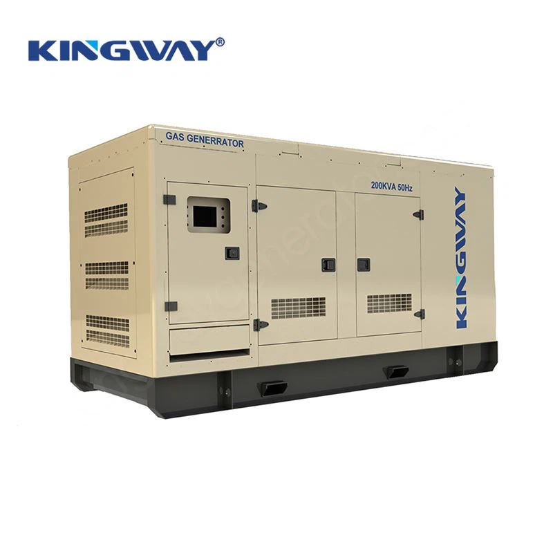info-1-1 gas generator 01