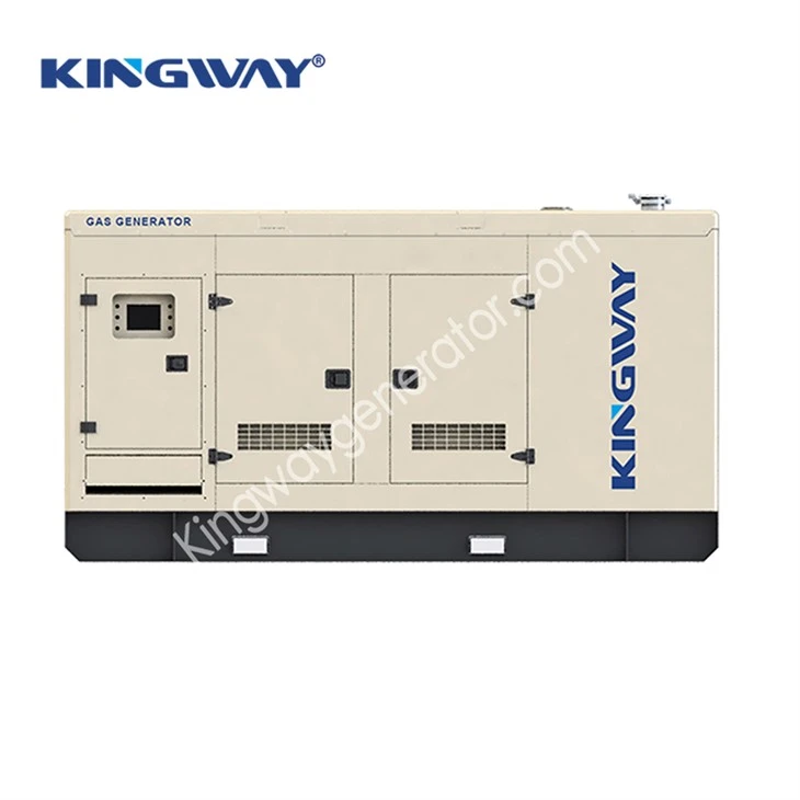 1mw natural gas generator01